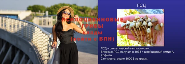 apvp Куйбышев