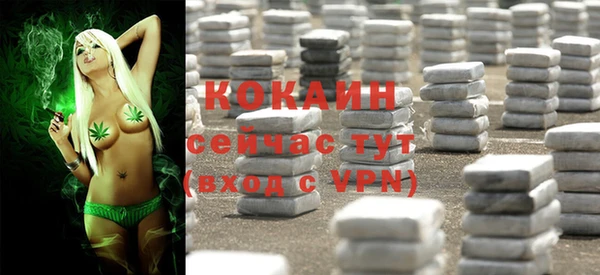 бошки Кукмор